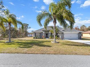 11169 Jackdaw Rd, Weeki Wachee, FL 34614