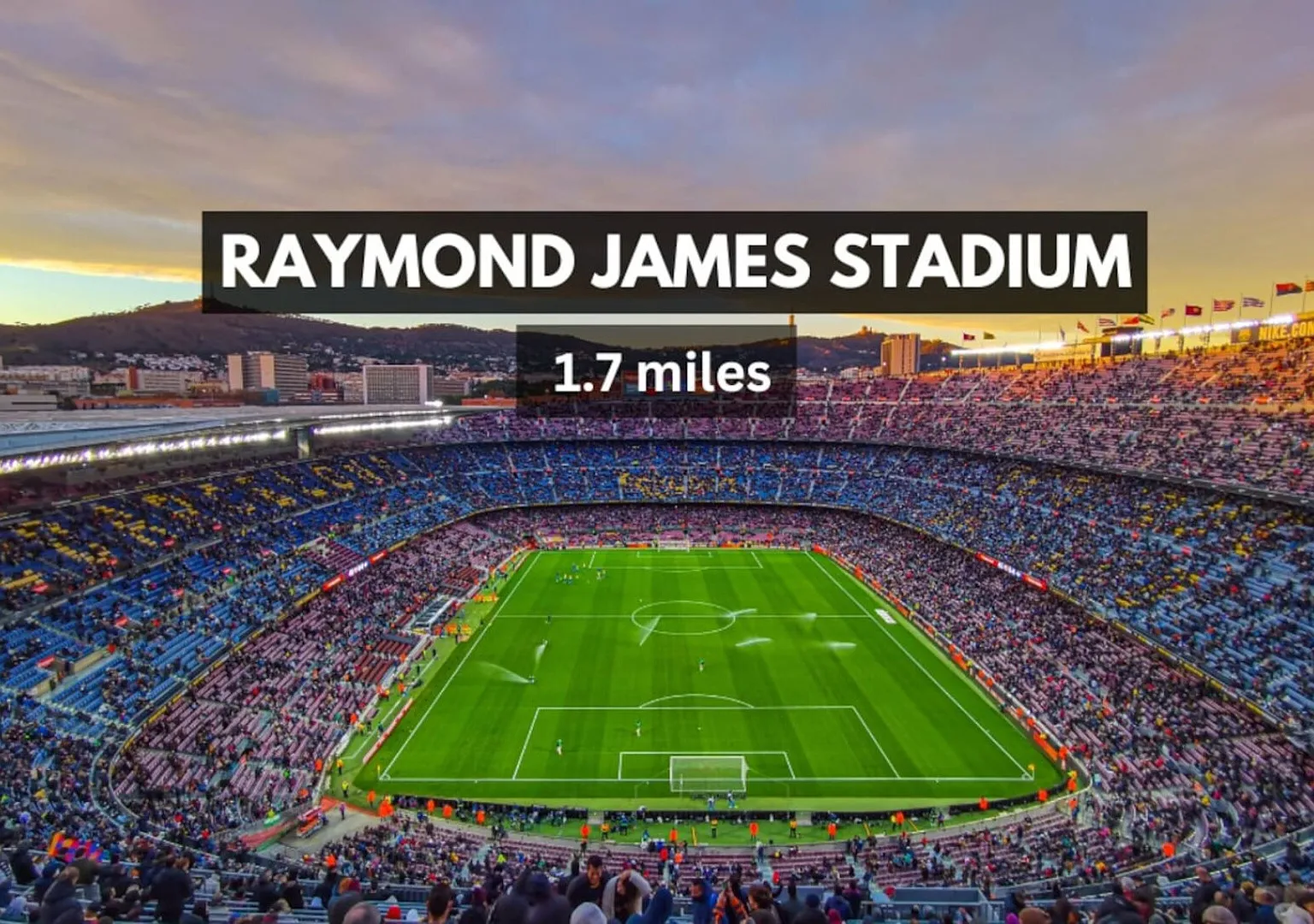 Spectacular 1-Bedroom | Walk to Raymond James! — Photo 3