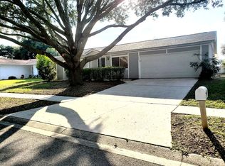 1445 Piney Branch Cir, Valrico, FL 33594