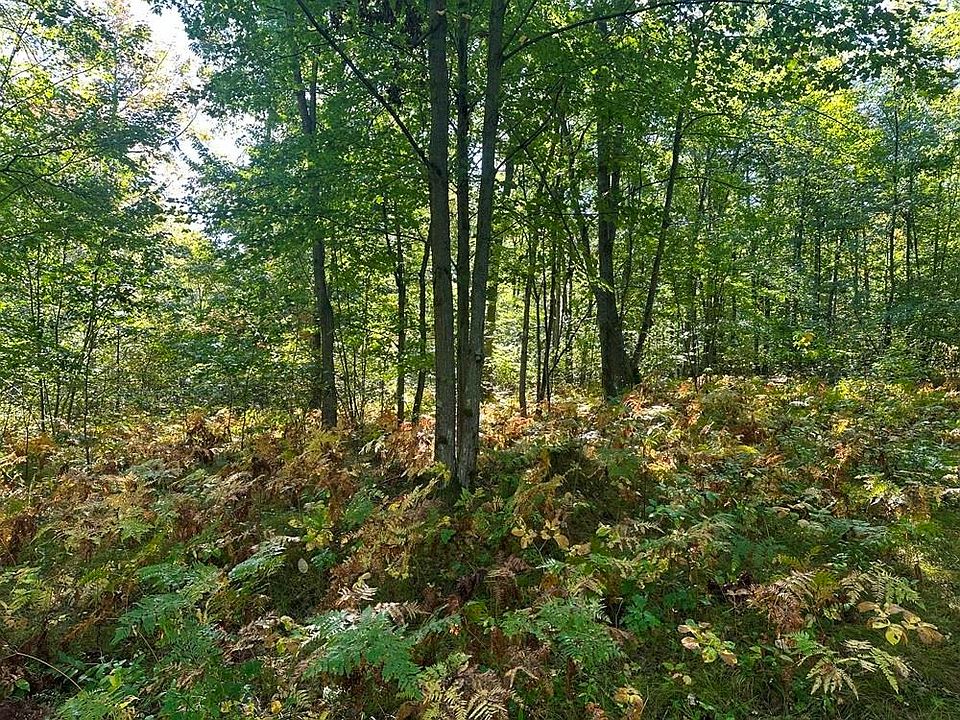 2nd image of 300-31 Easement Rd