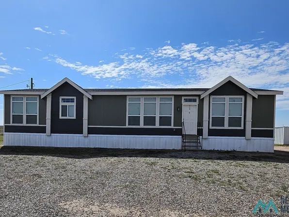 370 Pinto St, Hagerman, NM 88232