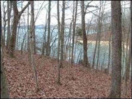 1st image of 338 Phillips Dr