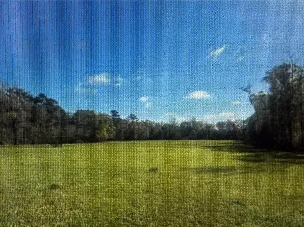 28445 Harper Hill Dr, Independence, LA 70443