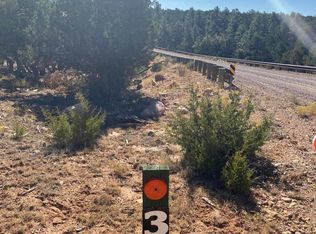 3665 PINEHURST Drive #170, Happy Jack, AZ 86024