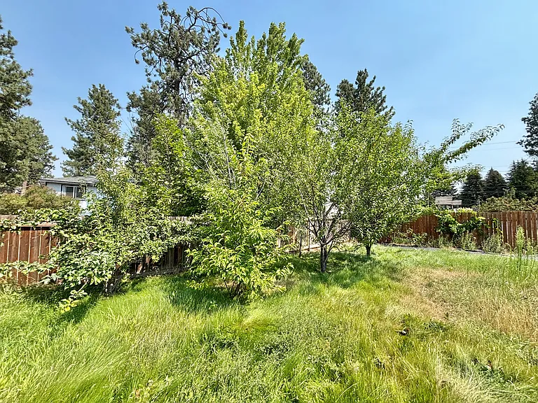 905 E Spence St — Photo 27