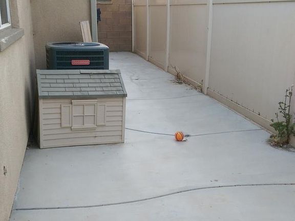 dog run