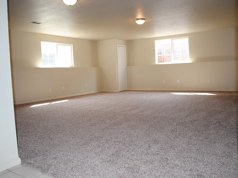 Large Family Room in lower level