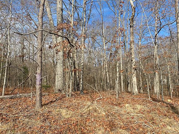 5th image of 0 Peachtree Dr