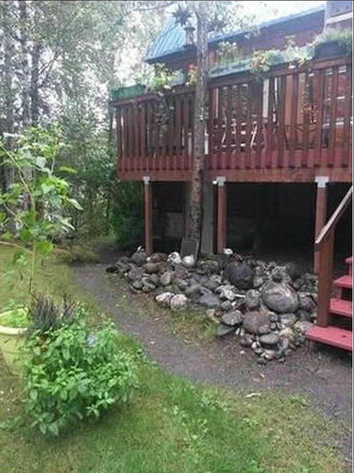 Studio, 800 sqft, $1,175 — Photo 3