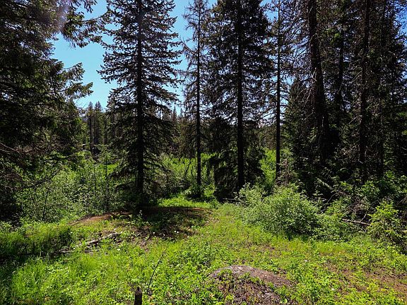 2nd image of 14 Elk Rd