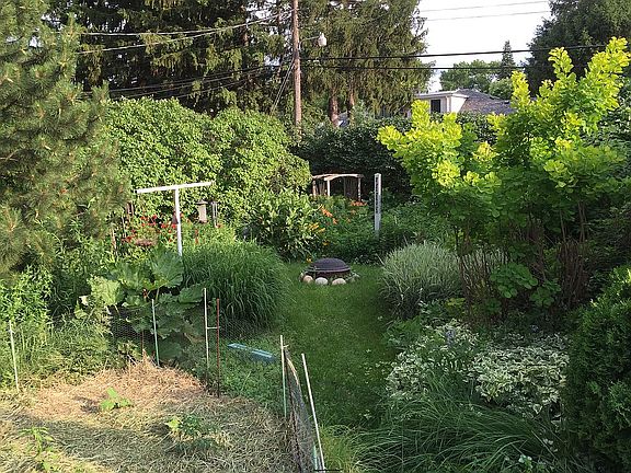Backyard-informal garden.
