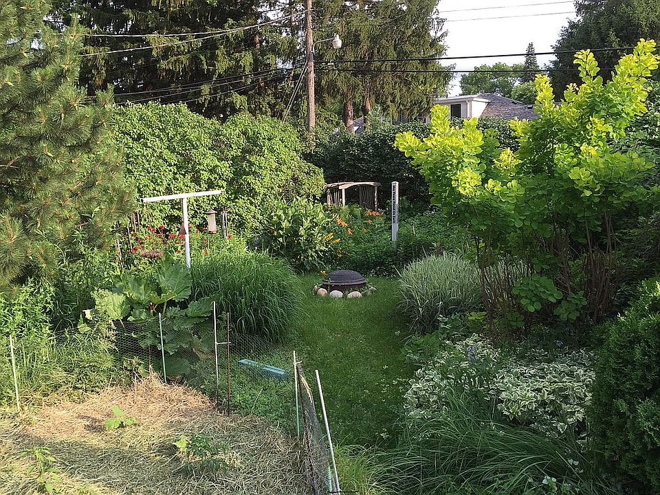 Backyard-informal garden.