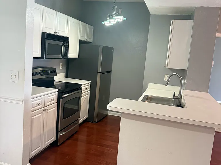 14229 Falls Church Dr #DRIVE1717 — Photo 4
