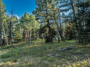 170 Crest Drive, Cimarron, CO 81220