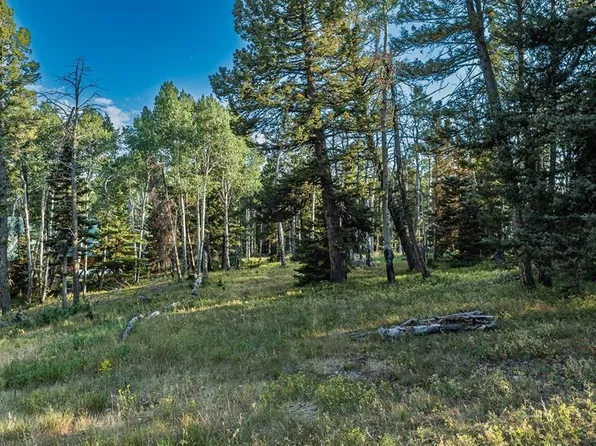 170 Crest Drive, Cimarron, CO 81220