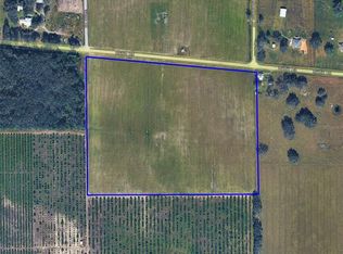 2270 Griffin Rd, Wauchula, FL 33873