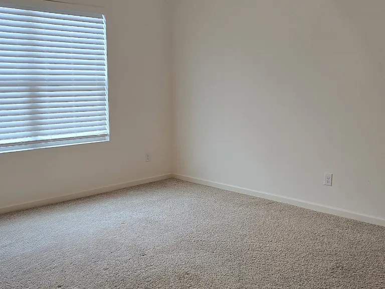 225 Firebrick Cir — Photo 11