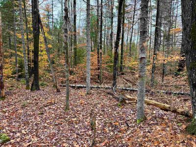 0 Washington Drive, Washington, NH, 03280