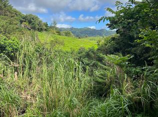 Puuwai Rd, Kalaheo, HI 96741