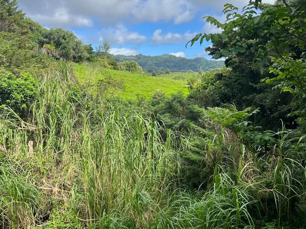 Puuwai Rd, Kalaheo, HI 96741