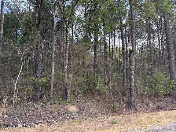 2nd image of 288 Galilee Rd
