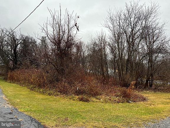 5th image of Pauline Ave