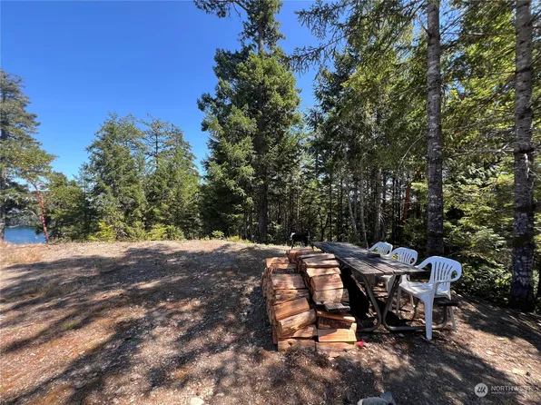 2 XXXX Mt Jupiter Road, Brinnon, WA 98376