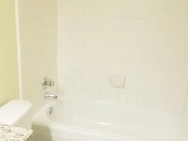 Master Bath Tub/Shower