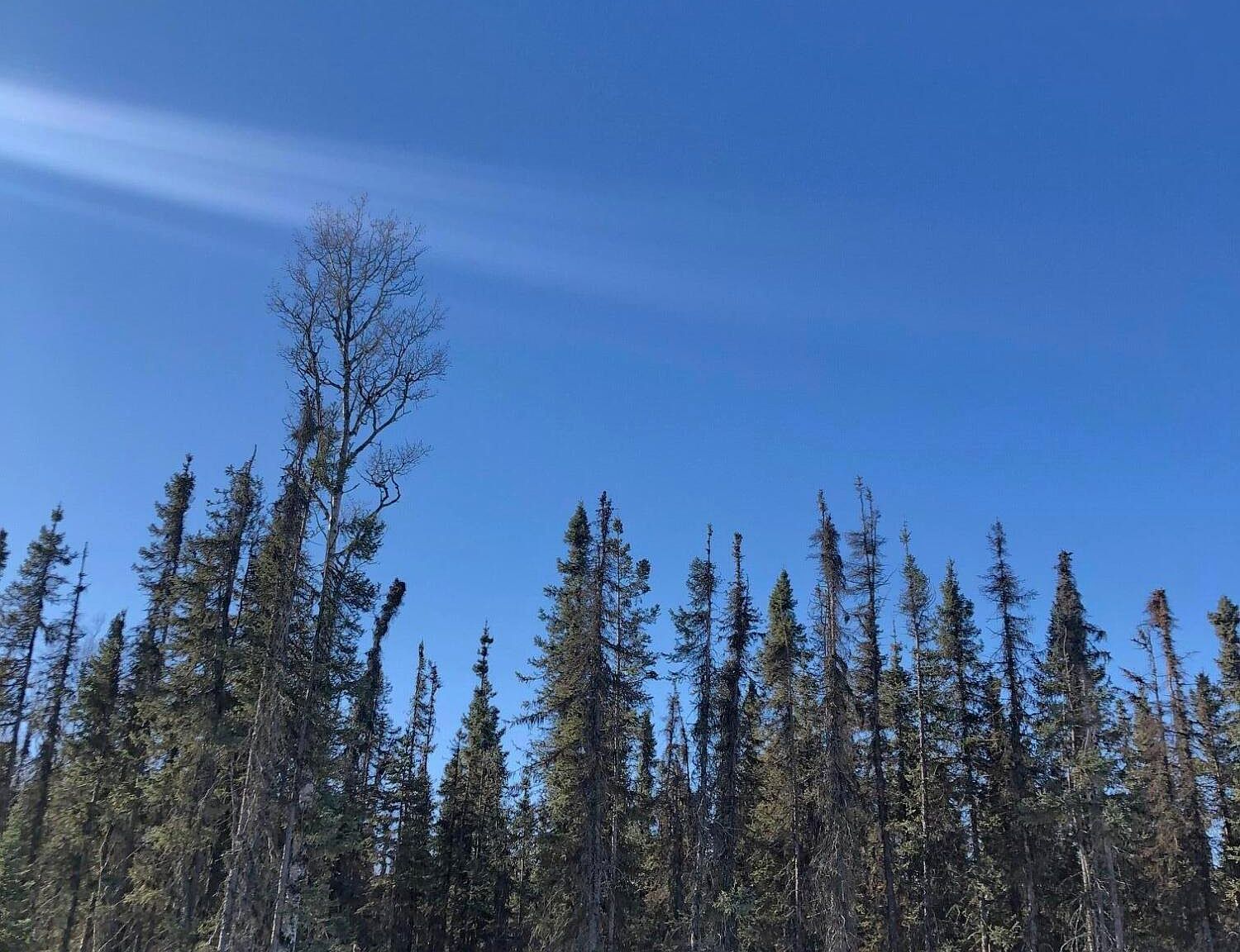 2246 S Fian Dr, Wasilla, AK 99654 MLS 2214513 Zillow