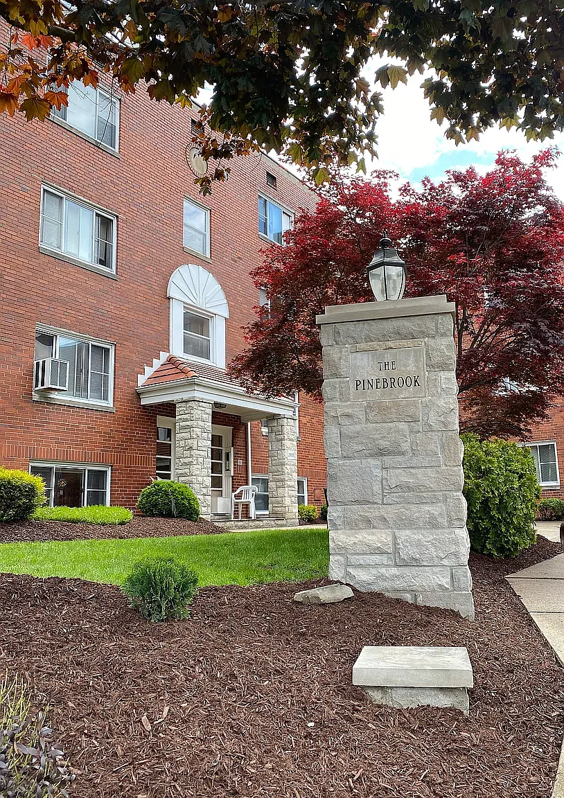1 bed, $925 — Photo 1