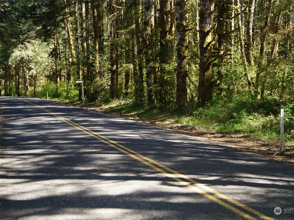 0 M.P. 1.9 Garrard Creek Road, Rochester, WA 98579