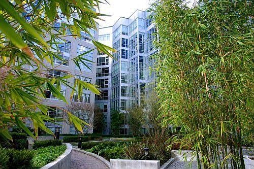 1st image of 200 Brannan St APT 303