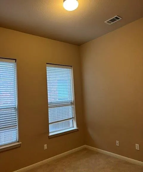 805 Williams Way — Photo 9