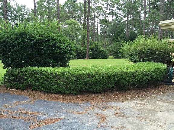 Manicured Yard