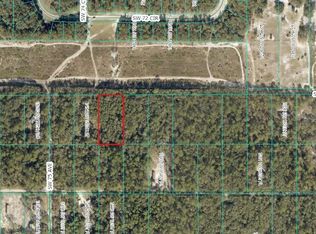 SW 150th St Lot 19, Dunnellon, FL 34432