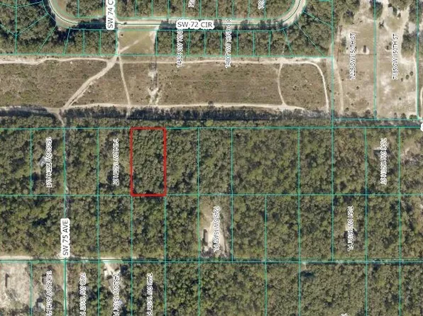 SW 150th St Lot 19, Dunnellon, FL 34432