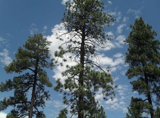 6928 Leo Ln, Lakeside, AZ 85929