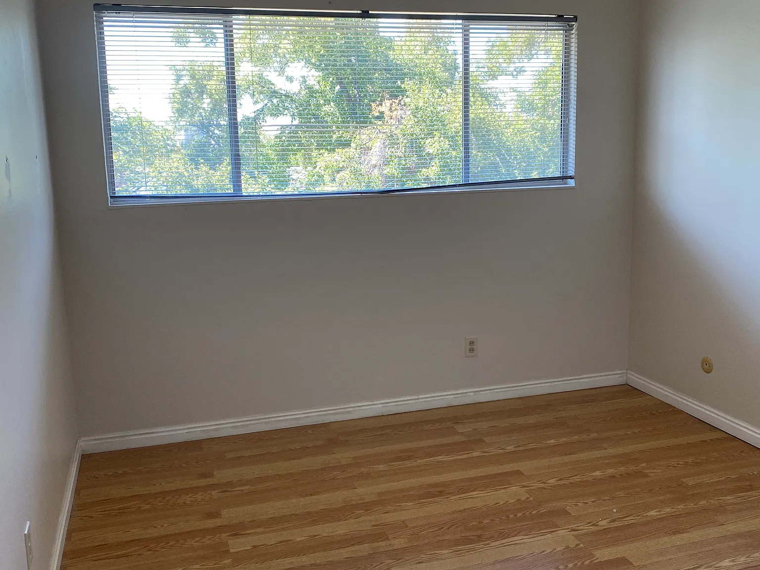 2 bed, 1.5 bath, 995 sqft, $1,590 — Photo 4
