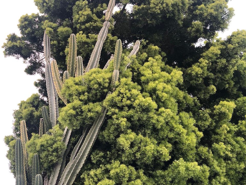 Outdoor view