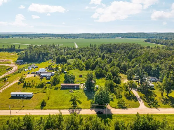 436 Tobias Rd, Elmira, MI 49730