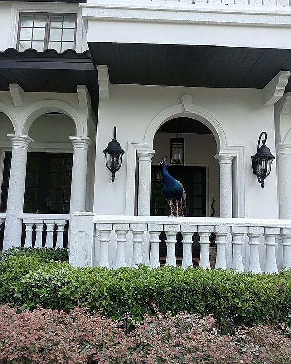 2nd image of 212 Cortland Ave
