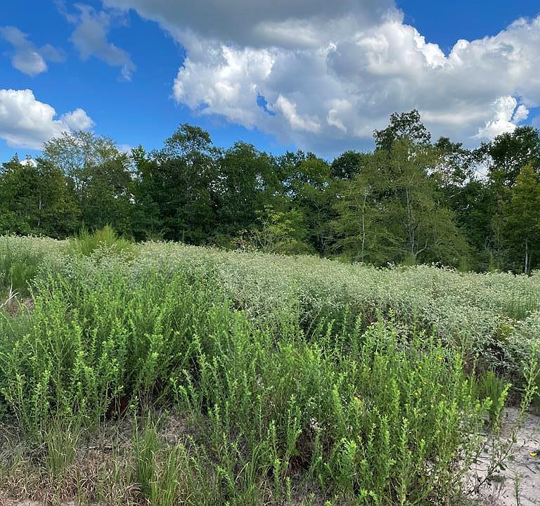 1st image of 0 County Road 1165 Tract 4