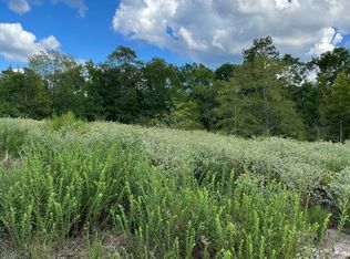 0 County Road 1165 TRACT 4, Kennard, TX 75847
