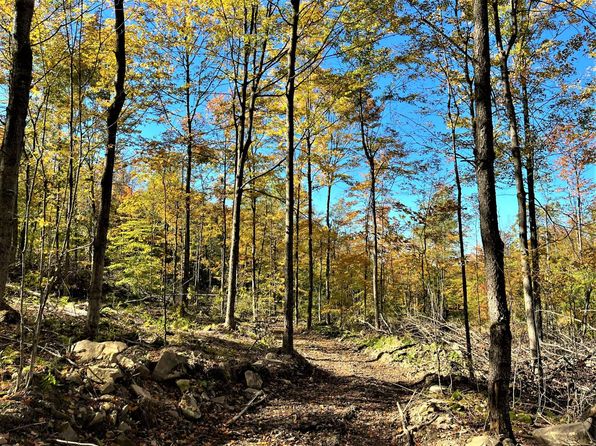 Bucktooth Run Rd W, Little Valley, NY 14755