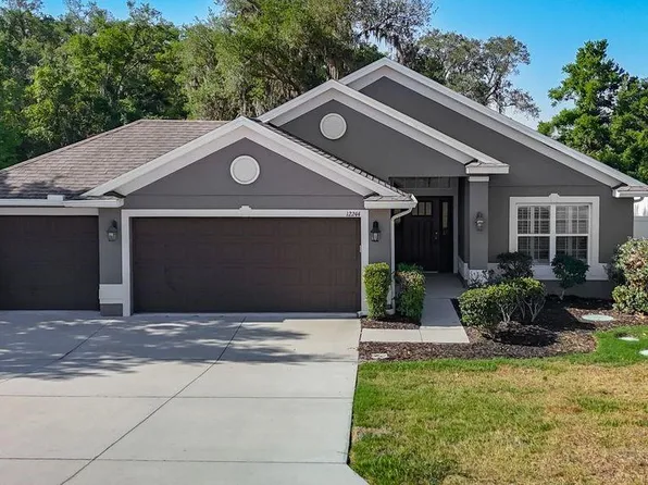 12244 Loopback Dr, San Antonio, FL 33576