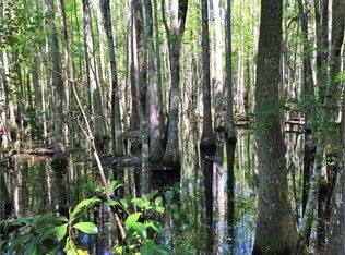 Buck Swamp Rd, Brunswick, GA 31523