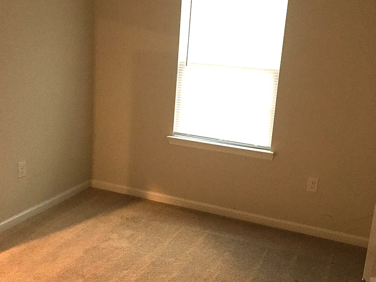 2425 Pocoson Wood Ct — Photo 14