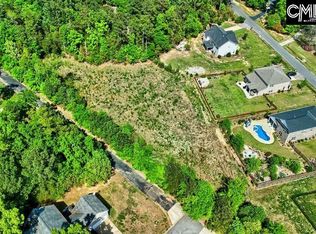 109 Carrituck Ct, Chapin, SC 29036