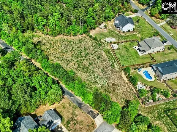 109 Carrituck Ct, Chapin, SC 29036