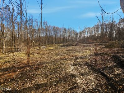 270 Freedom Rd, Limestone, TN, 37681